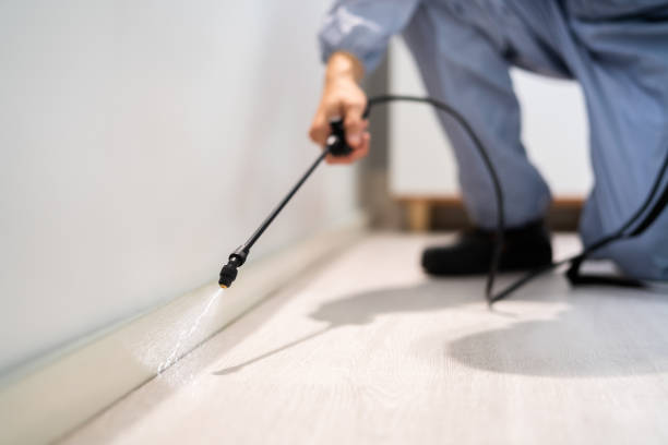 Licensed Termite Control service in Haralson County County, GA - Nex Pest Control