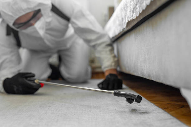 Professional Termite Control technician working in Haralson County County, GA